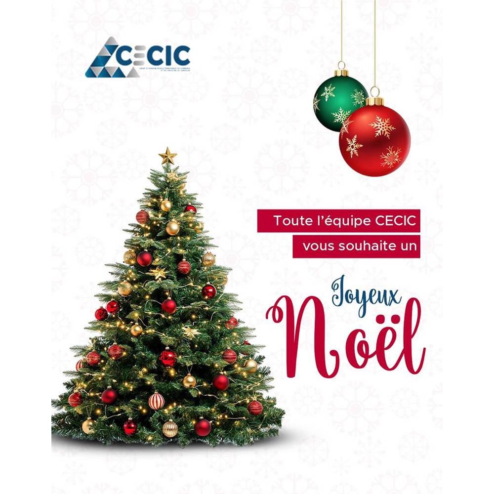 Actualité de la cecic : Joyeuses fêtes